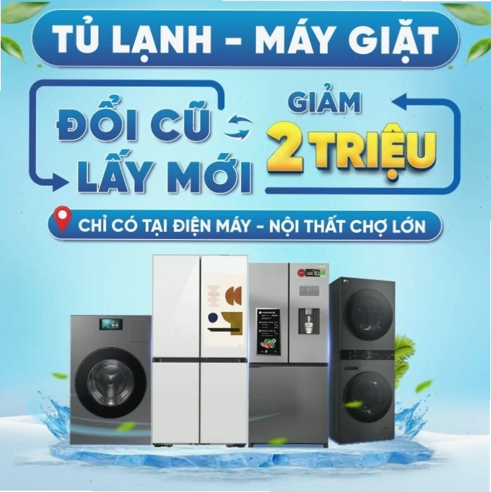 Avatar hoạt hình cá tính với phong cách độc đáo