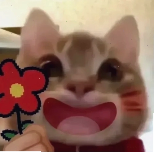 Avatar mèo ngơ ngác cute cầm bông hoa