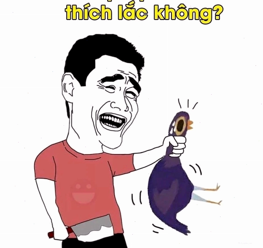 Biểu cảm ngộ nghĩnh của chim cánh cụt trong meme