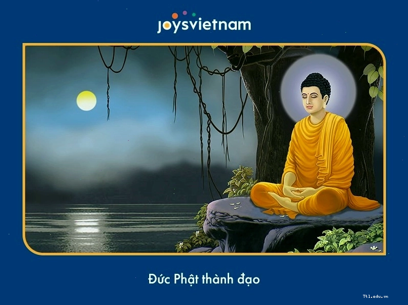 Biểu tượng hoa sen trong Phật giáo