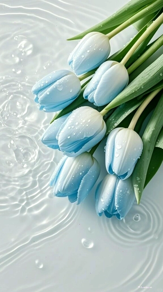Bình hoa tulip cắm nghệ thuật