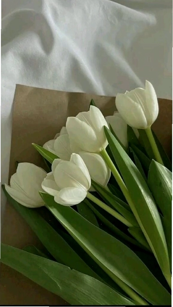 Bó hoa tulip nhiều màu sắc tuyệt đẹp