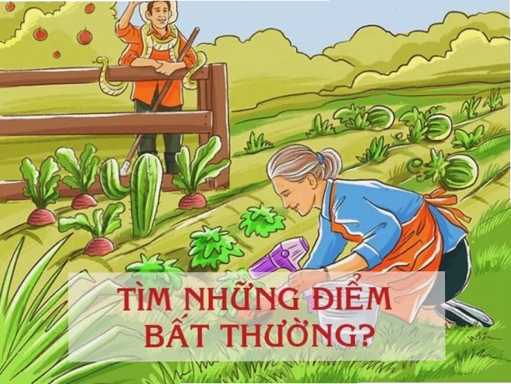Các bài tập logic giúp rèn luyện trí tuệ