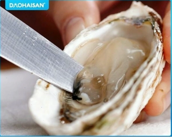 Cách tách vỏ hàu dễ dàng bằng dao nhọn