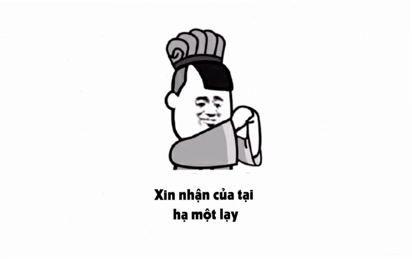 Cận cảnh khuôn mặt biểu cảm của chú mèo