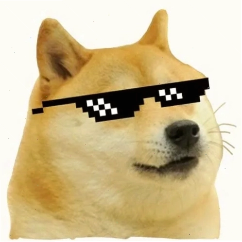 Chú chó Shiba với biểu cảm ngộ nghĩnh