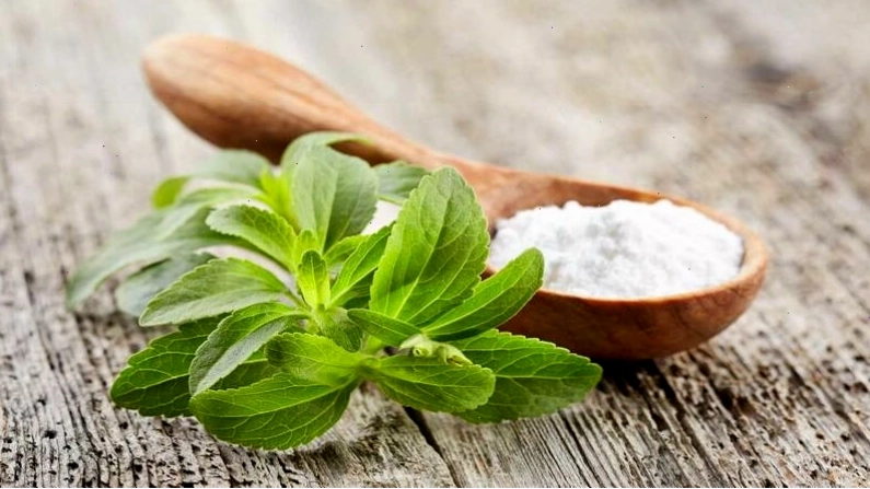 Cỏ ngọt là cây bụi có nguồn gốc từ Nam Mỹ với vị ngọt tự nhiên
