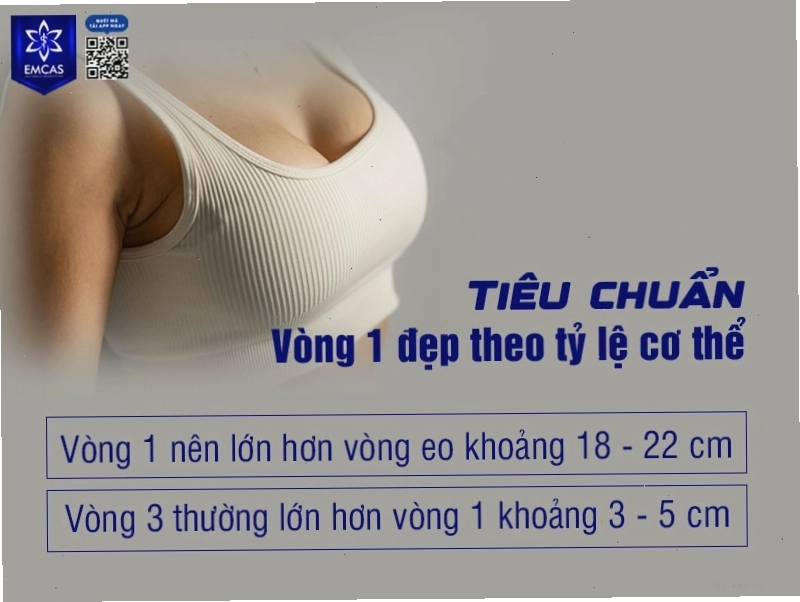 Dáng ngực đẹp có độ đầy đặn, săn chắc và hai bên cân đối
