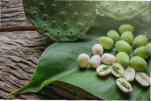 Hạt sen tốt cho sức khỏe khi dùng đúng cách
