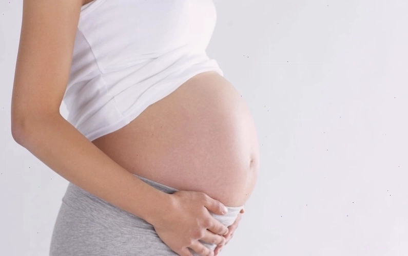 Hình ảnh lá và thân cây xạ đen phơi khô dùng làm thuốc
