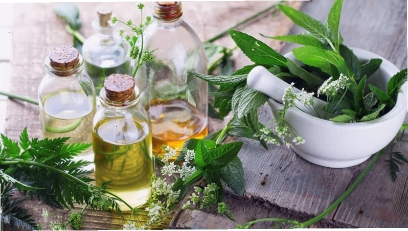 Hình ảnh minh họa về thuốc nam giảm cân