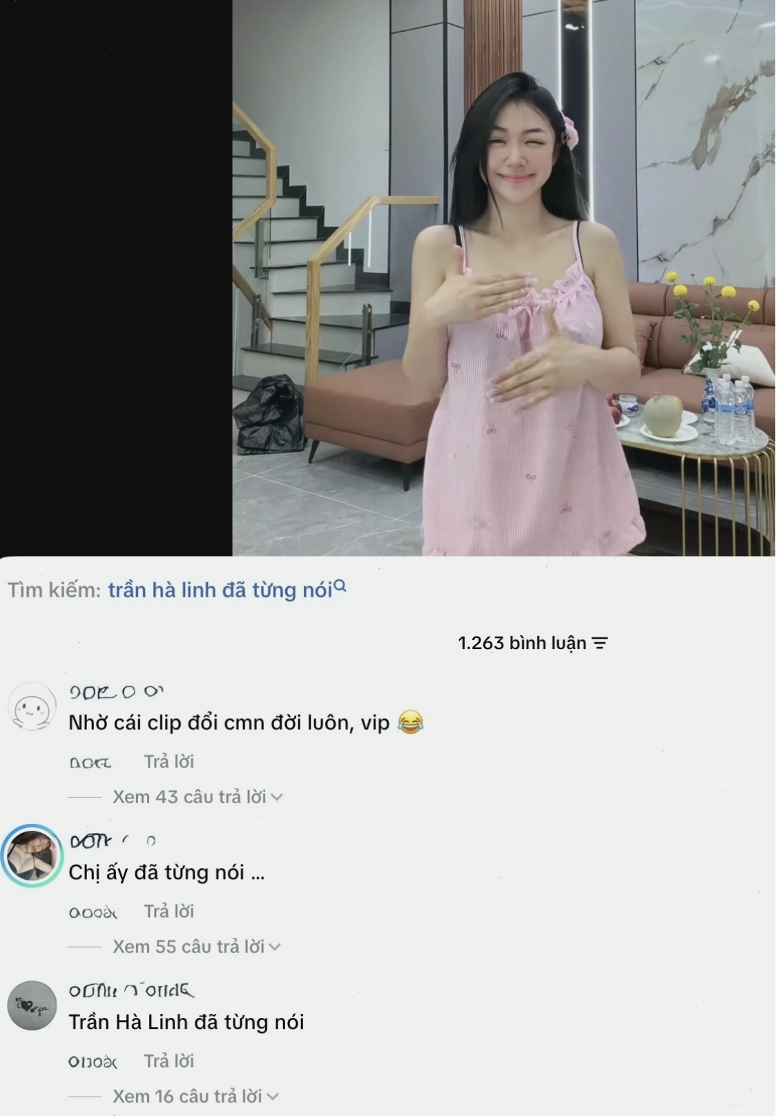 Hoạt động xã hội của Trần Hà Linh