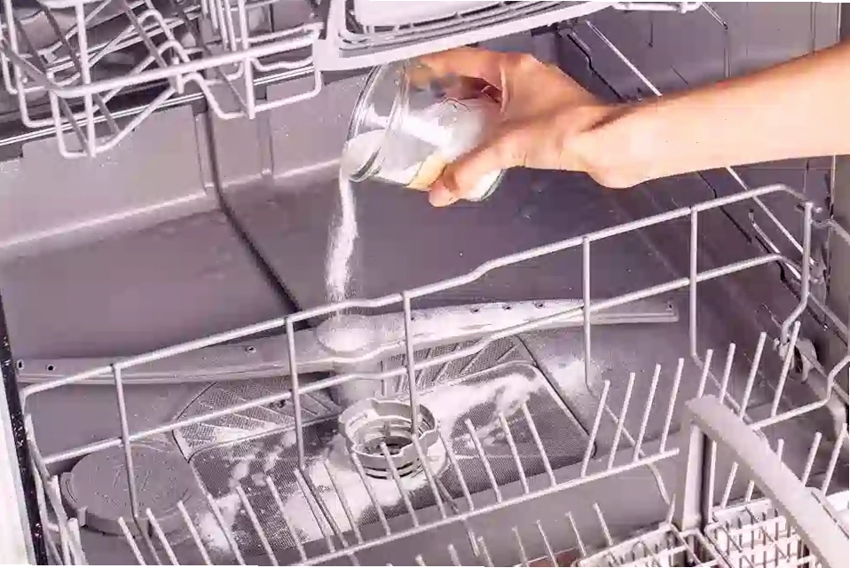 Máy rửa bát bị nấm mốc gây ảnh hưởng đến sức khỏe