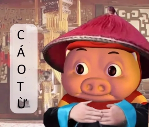 Meme cáo từ hài hước khác