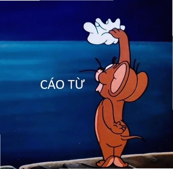 Meme cáo từ và ý nghĩa trong giao tiếp trực tuyến