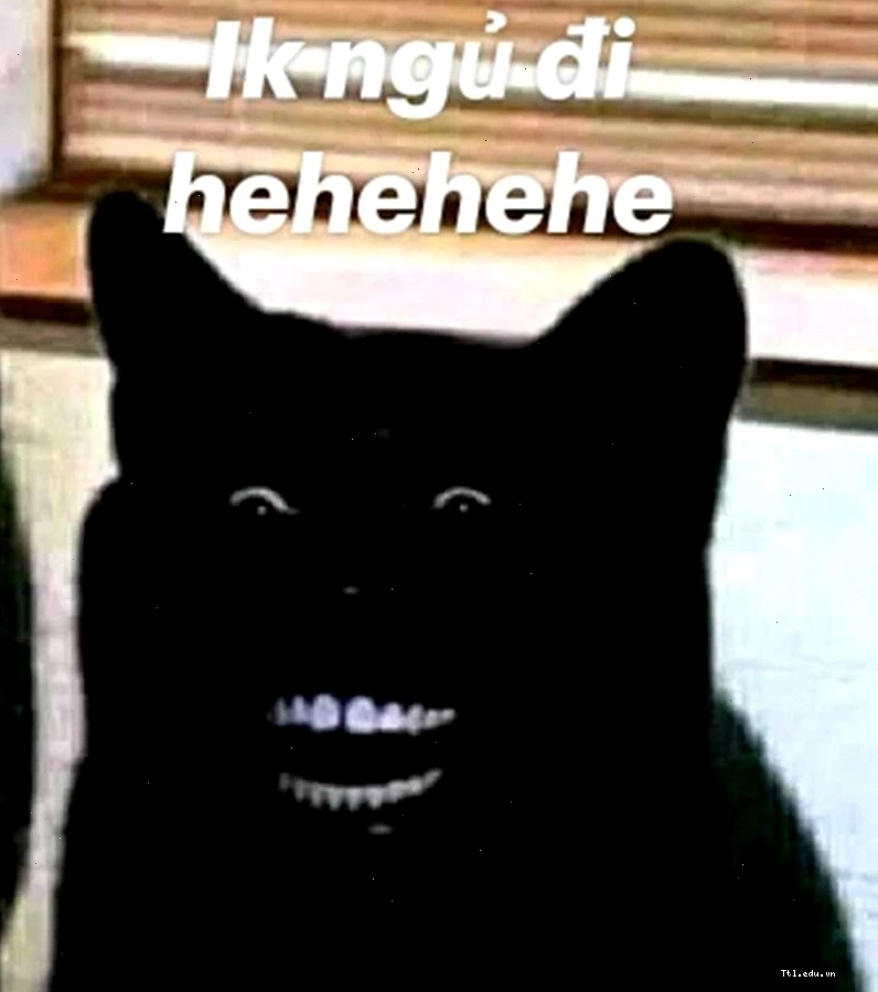 Meme chúc ngủ ngon với lời nhắn nhủ vui vẻ