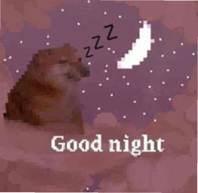 Meme dễ thương về giấc mơ đẹp