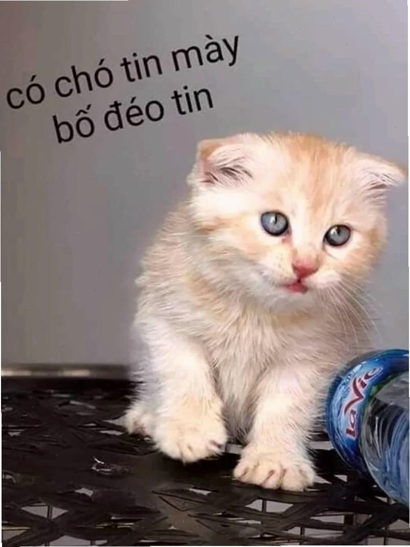 Meme đéo tin thể hiện sự ngạc nhiên