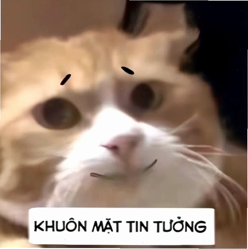 Meme đéo tin với nội dung bất ngờ