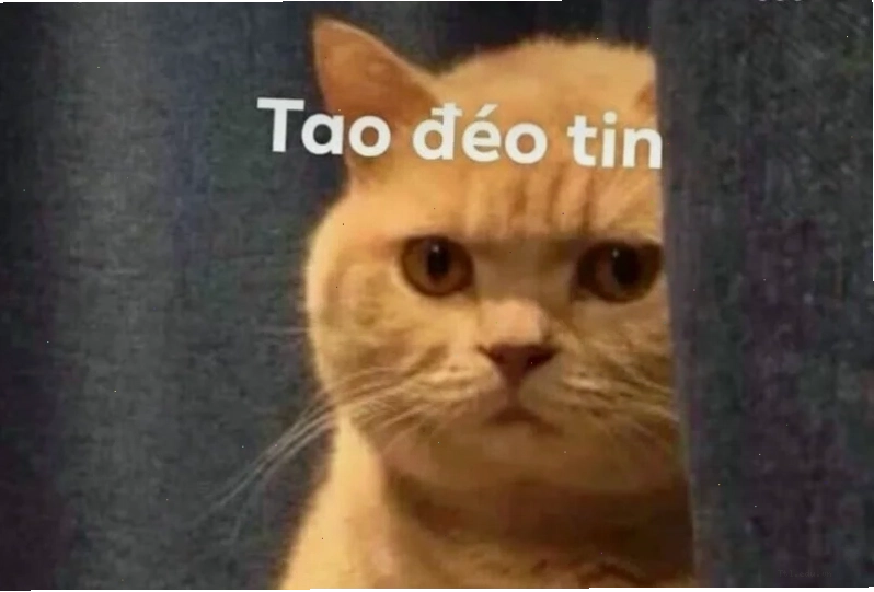 Meme đéo tin với thông điệp bất ngờ