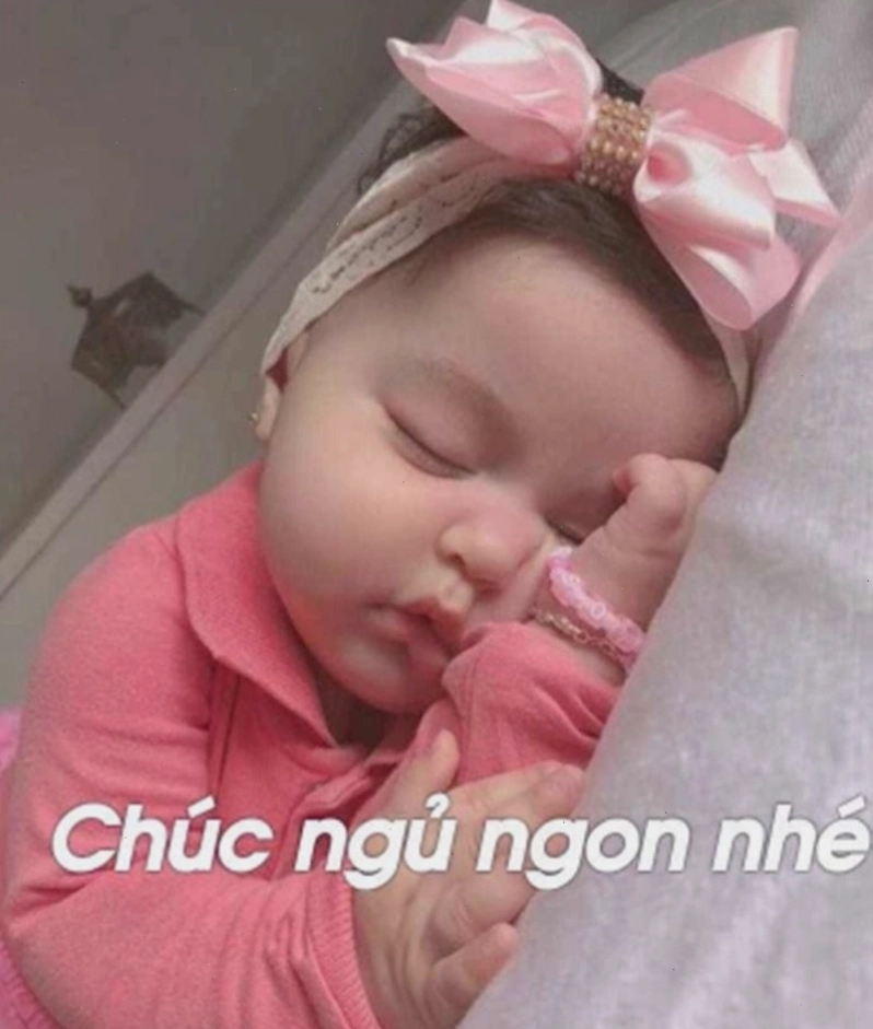 Meme động vật đang thư giãn và sẵn sàng cho giấc ngủ