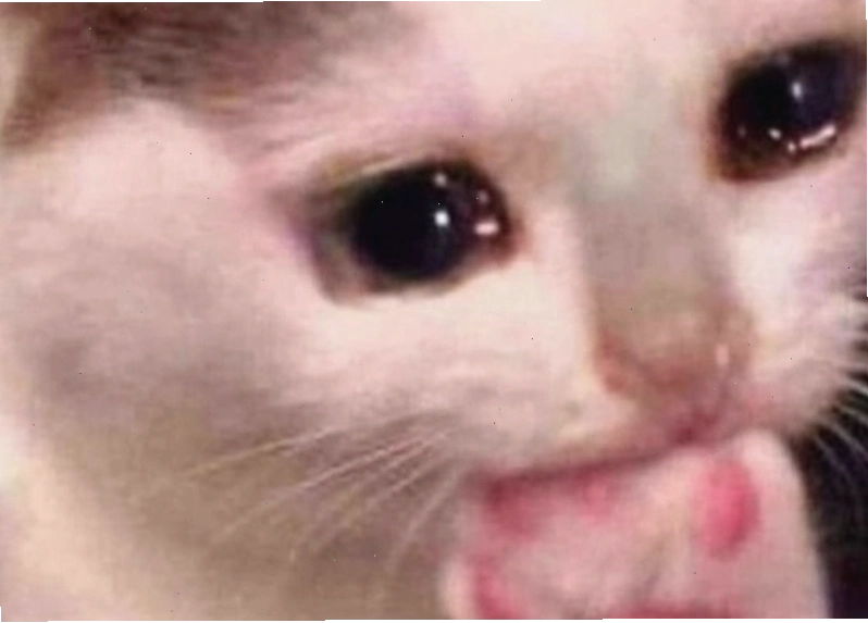 Meme động vật khóc