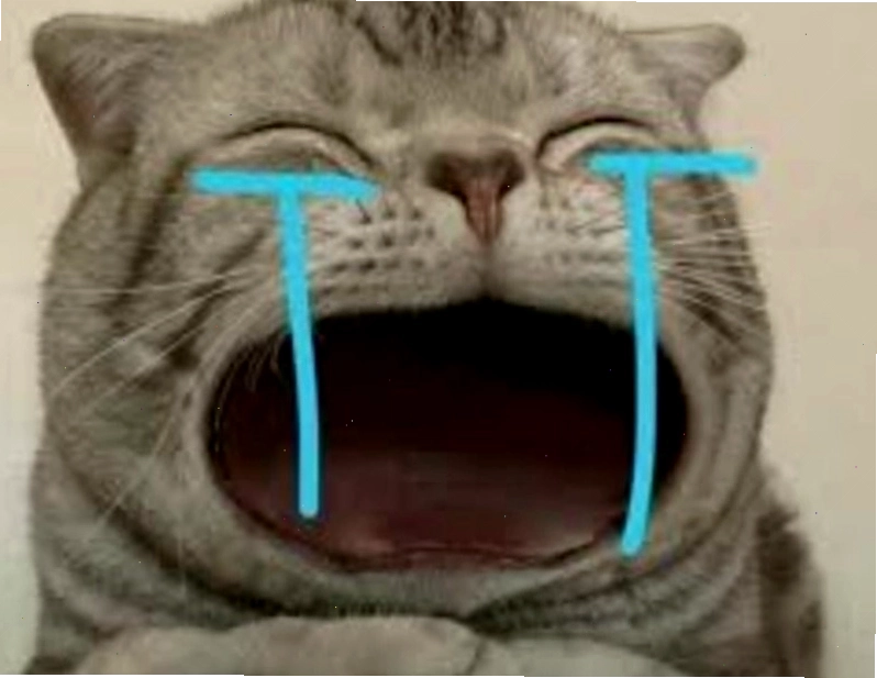 Meme động vật khóc