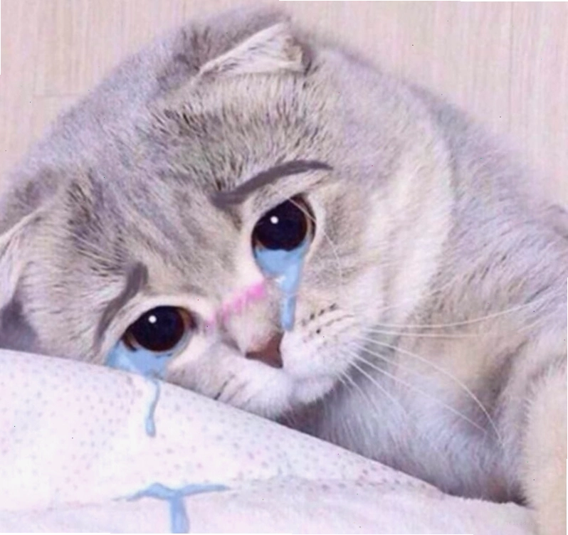 Meme động vật khóc