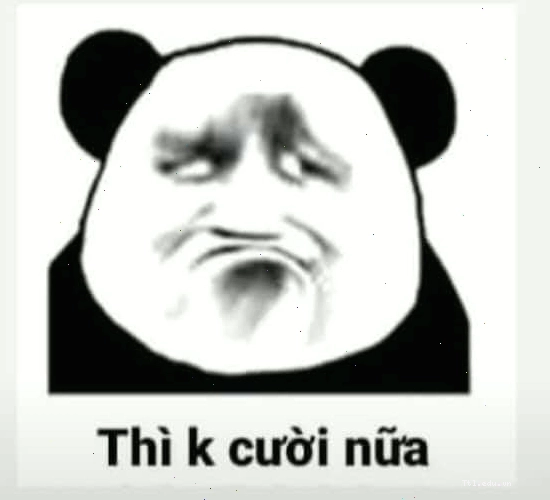 Meme gấu trúc với biểu cảm không buồn không vui, trạng thái lơ lửng