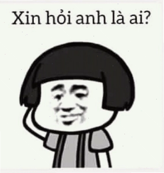 Meme gấu trúc với vẻ mặt ngơ ngác, không hiểu chuyện gì đang xảy ra