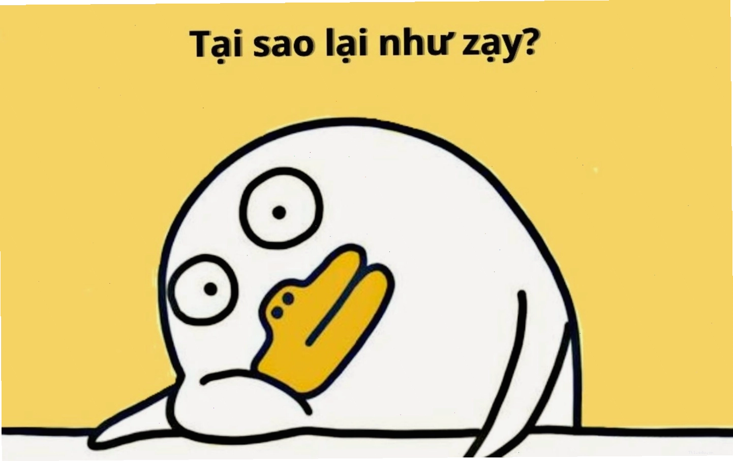 Meme hai 18