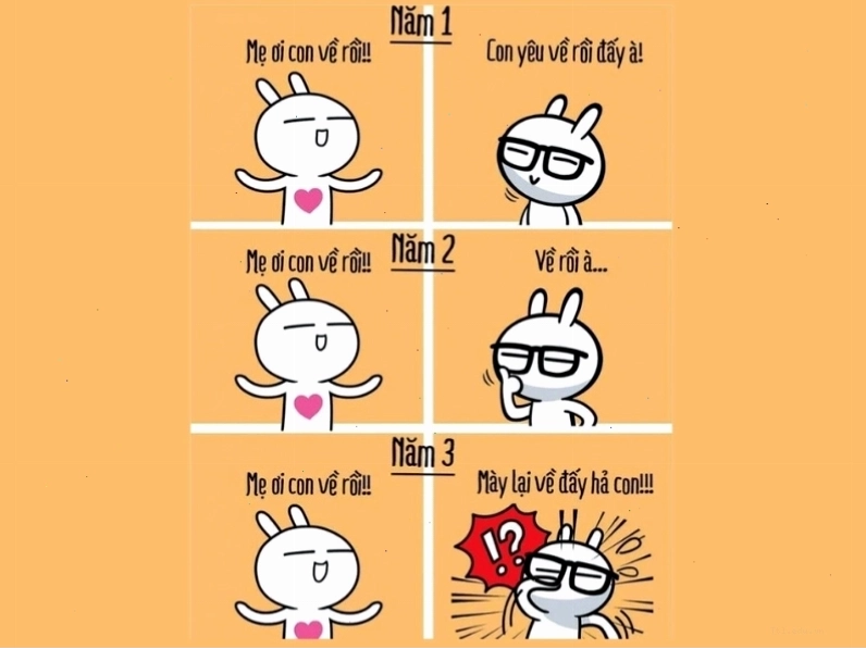 Meme hài hước về thái độ phụ huynh trong 3 năm đại học của con