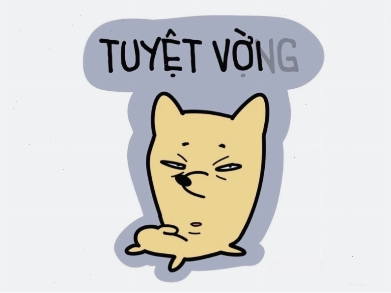 Meme hài hước với hai trạng thái tuyệt vời và tuyệt vọng