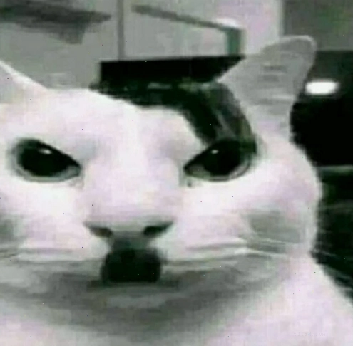 Meme Hitler cười lớn