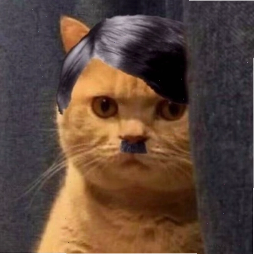 Meme Hitler với vẻ mặt cau có