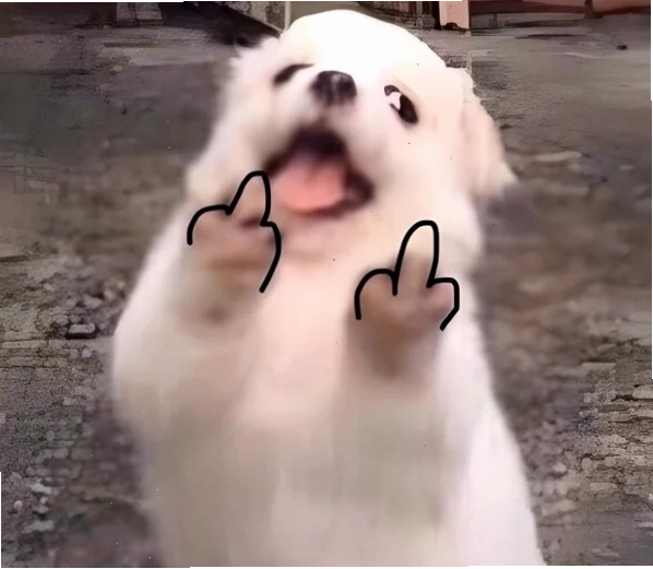Meme mặt khinh bỉ với ánh mắt sắc lạnh