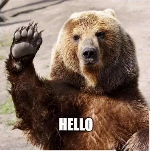 Meme mèo dễ thương gửi lời chào