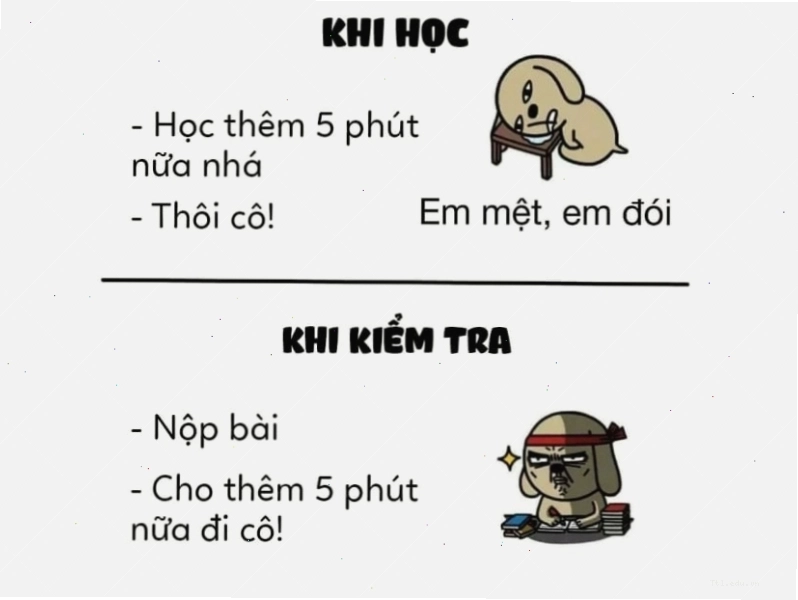 Meme so sánh thời gian học và thời gian kiểm tra