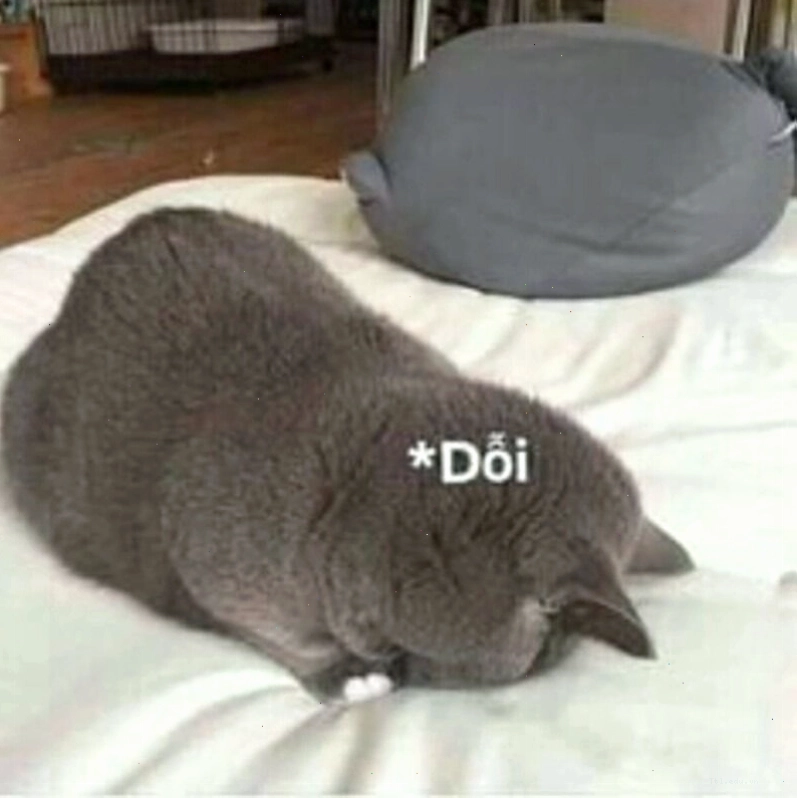 Meme tình yêu dễ thương với các cặp đôi động vật