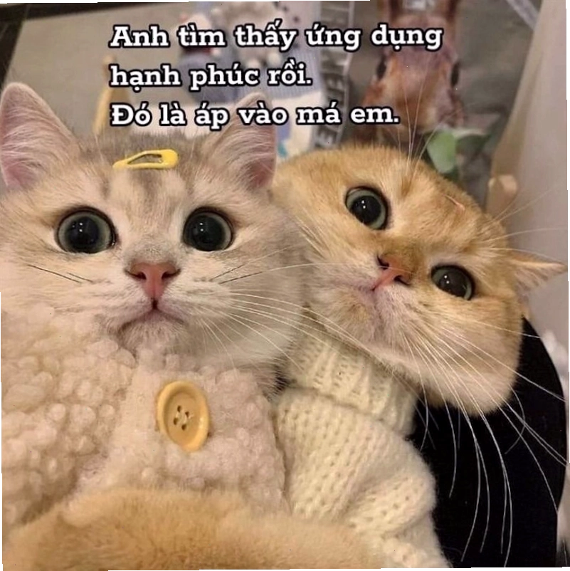 Meme tình yêu tâm trạng thể hiện sự cô đơn