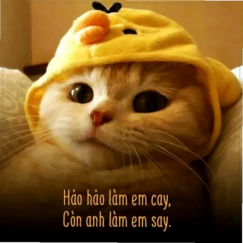 Meme tình yêu tâm trạng thể hiện sự suy tư