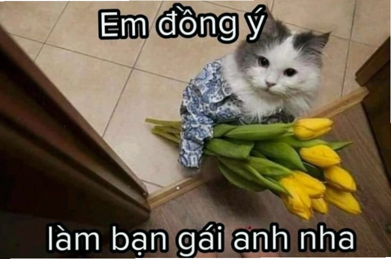 Meme tình yêu tâm trạng với góc nhìn sâu sắc