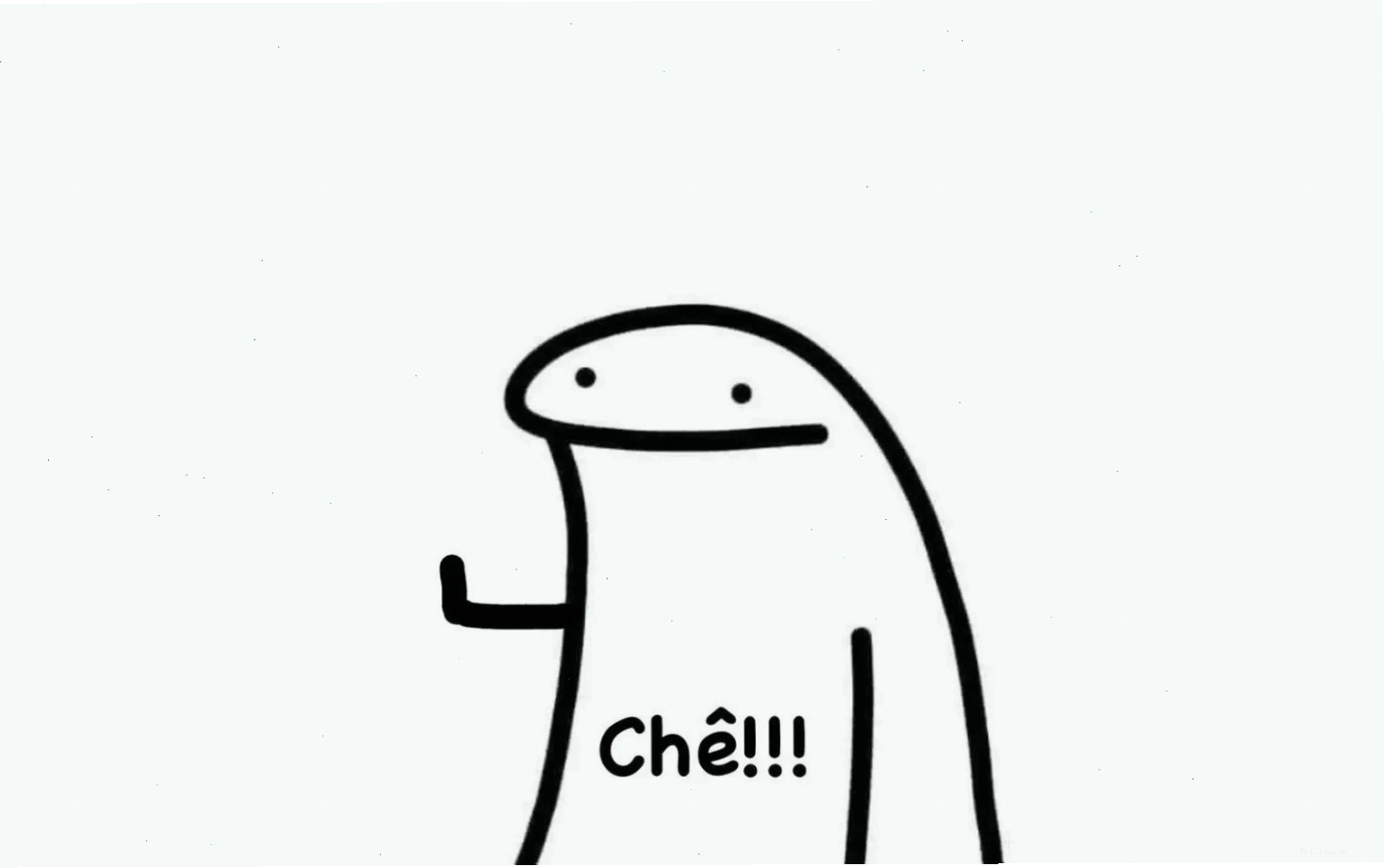 Mèo con đang chơi đùa