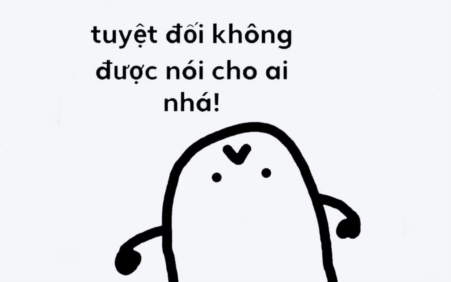 Mèo con với ánh mắt lanh lợi và biểu cảm tinh nghịch