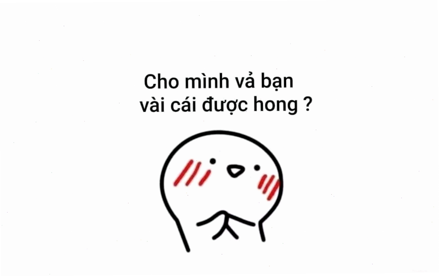 Mèo đội mũ và đeo kính tạo dáng cực ngầu