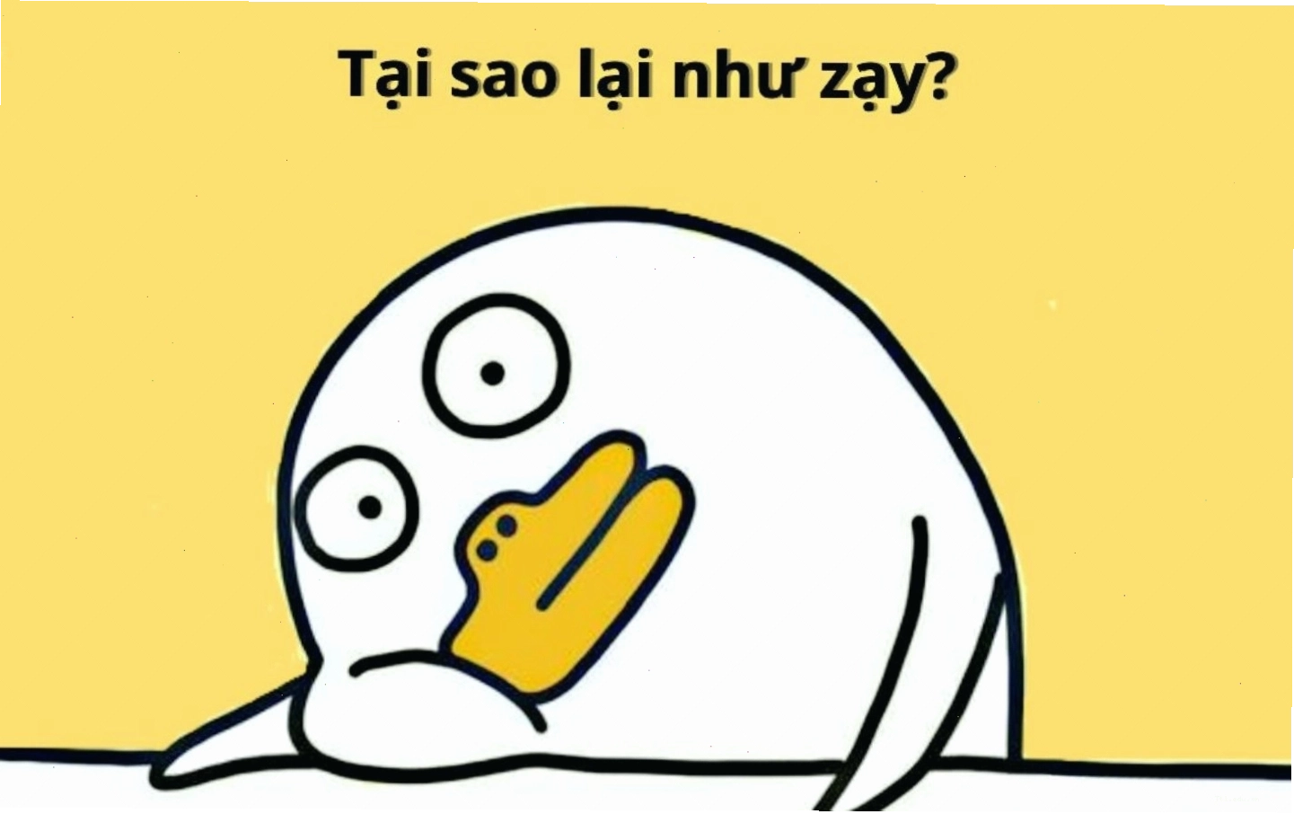 Mèo nhìn chằm chằm từ trên cao