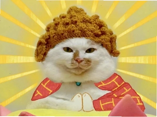 Mô Phật Meme mèo thể hiện sự chán nản