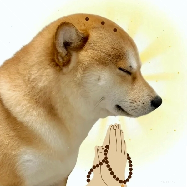 Mô Phật Meme và sự "buông bỏ"