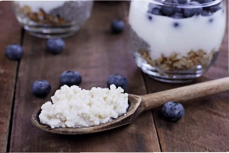 Nấm kefir là gì? Tác dụng của nấm kefir đối với sức khỏe không phải ai cũng biết 1