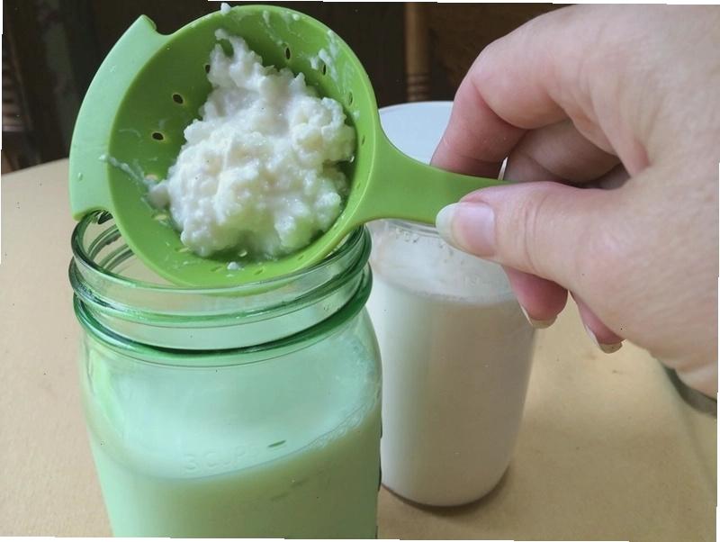 Nấm kefir là gì? Tác dụng của nấm kefir đối với sức khỏe không phải ai cũng biết 4